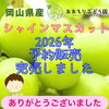 2026年シャインマスカット予約販売完売のお礼