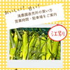 初めてでも安心！滝農園直売所の買い方・営業時間・駐車場をご案内