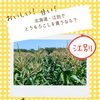 北海道・江別でとうもろこしを買うなら？滝農園直売所の人気商品をご紹介