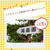 とうもろこしは朝採れが一番おいしい？農家が教える甘さの秘密 🌽☀️