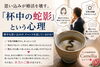 「カメリア《杯中の蛇影という心理》愛媛婚活」