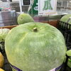 とても大きな野菜たち
