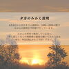 夕方の新規予約受付
