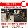 【愛媛県新居浜市】里親募集のお知らせ！