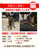「【愛媛県新居浜市】里親募集のお知らせ！」