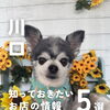 💡川口のお店の最新ニュースをピックアップ！💡