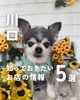 「💡川口のお店の最新ニュースをピックアップ！💡」