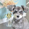 お客様のご紹介🐶[大分市高崎/貸切トリミング]