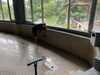 「🧹 昨日も丁寧に、温泉を磨き上げました」