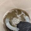 【高砂市荒井町】換気扇の分解洗浄でベタつき汚れスッキリ！【レンジフード分解洗浄】
