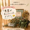 夜勤明け看護師さんのご感想「悪霊が去っていったようだ！」