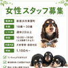 🐶スタッフ募集🐶