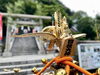 「【横浜市磯子区】地域のつながりを感じた一日！日枝大神のお祭りでお神輿を担いできました⛩️」
