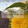NHK特集ドラマ「しあわせは食べて寝て待て」放送のお知らせ