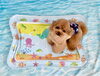 仁姜くん「波とわんこ🌊」