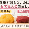 筋トレを始めると体重が増えることがある理由