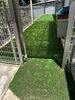 冷却人工芝COOOLTURFで裏庭をプライベートドッグランに。❗️「裏庭をプライベートドッグランに。‼️」
