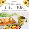 夏季休業のお知らせ🌻🎐【勲山窯／波佐見焼／長崎／波佐見】