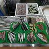 📣本日のお魚情報🐟