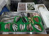 2026年8月6日 店内「📣本日のお魚情報🐟」