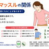 腰痛とインナーマッスルの関係【関市 かたぎり接骨院】｜当日予約OK・腰痛/肩こり/交通事故対応