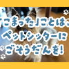 【高齢者×愛犬】「自分ではお手入れができなくて…」諦める前に、ペットシッターにできること。
