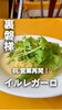 「裏磐梯イルレガーロ営業再開！このロケーションでこのランチは反則です🍝」