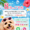 🌺8月のご予約について📢✨ WEBが満席でもぜひご相談ください🌺