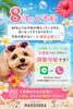 「🌺8月のご予約について📢✨ WEBが満席でもぜひご相談ください🌺」