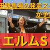 YouTubeでエルムSを予想！元発走スタッフの本音トーク