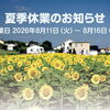 🌻夏季休業のお知らせ🗓️