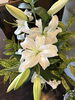 清らかな白色、可憐なユリの花「部下を想う優しさを責めないで 自分にも少し優しさを向けてみるということ」
