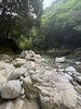 「みなさんはもう行った？鈍川🐡」