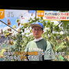 ☆カラフル野菜の小山農園『newsイット!』無事にオンエア📺☆