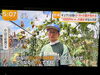 本日は午前中より就労スタート🎥「☆カラフル野菜の小山農園『newsイット!』無事にオンエア📺☆」