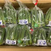 8月9日（日）は日曜朝市！猛暑対策サービスと夏野菜・果物がお買い得
