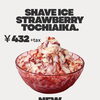夏限定「とちあいか」のShaved Ice始めました