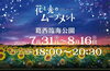 光と花で癒される夏の夜「葛西臨海公園のひまわり畑が見頃に！夕方ライトアップも開催中」