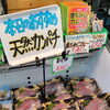 本日のおすすめは天然カンパチ！