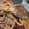 【魚も酒も自ら厳選する瑞江の小料理屋】 