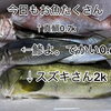 今日もお魚たくさん仕入れました♪/藤枝居酒屋/魚/刺身