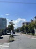 「想い出の渚 / ザ・ワイルドワンズ　みんなで歌謡ポップス」