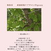 夏の終わりに、今この瞬間の子どもとの時間を思う