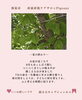 「夏の終わりに、今この瞬間の子どもとの時間を思う」