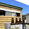 オリジナルアルミカップで犬島クラフトビールを！