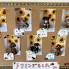トリミングをしたワンちゃんたちの紹介