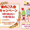 秋のご入会キャンペーン始まります！【千葉蘇我のおススメならいごと　英会話スクール】