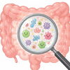 今日は「腸内細菌が皆さんのダイエットとフィットネスを左右する理由　その１」についてお話させて頂きます。