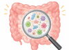 私たちの腸の中には、なんと100兆個以上、重さにして1〜2kgもの細菌が住んでいるのです。「今日は「腸内細菌が皆さんのダイエットとフィットネスを左右する理由　その１」についてお話させて頂きます。」