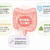 今日は昨日の続きで「腸内細菌が皆さんのダイエットとフィットネスを左右する理由　その２」についてお話させて頂きます。